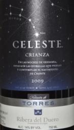 Torres - Celeste Ribera Del Duero 2020 (750ml) (750ml)